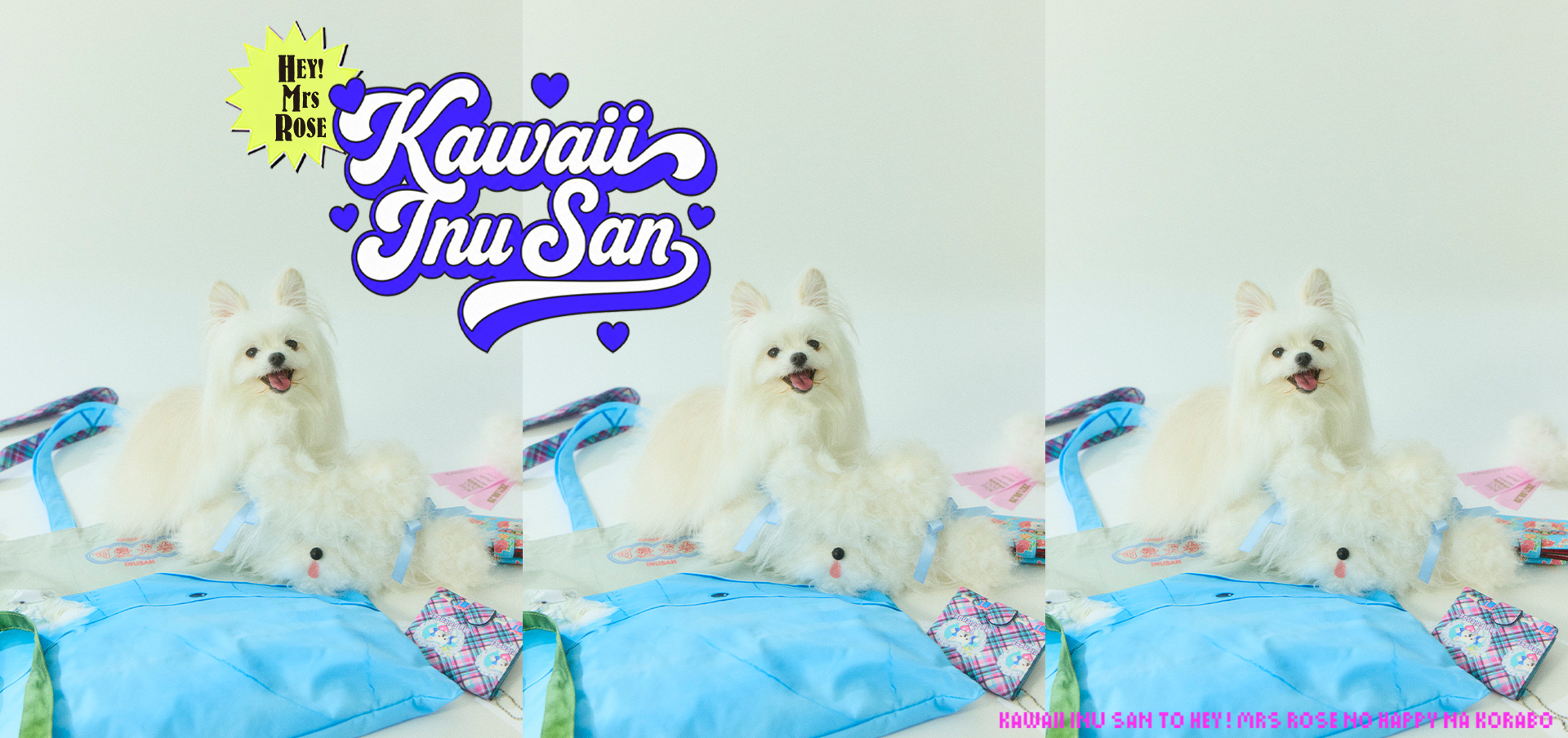 kawaiiinu×Casselini