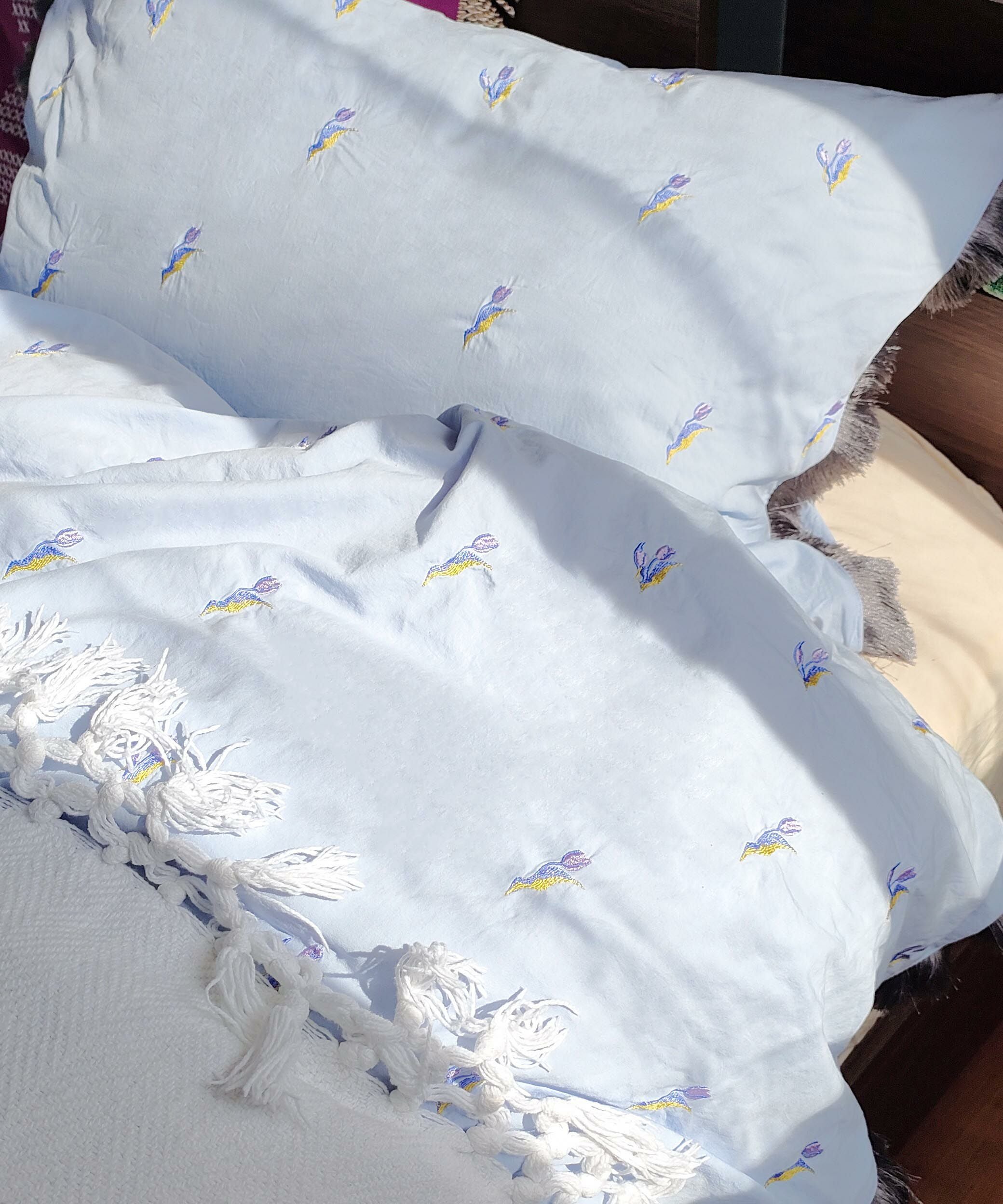 000000005799-09.jpg?size=m&w=