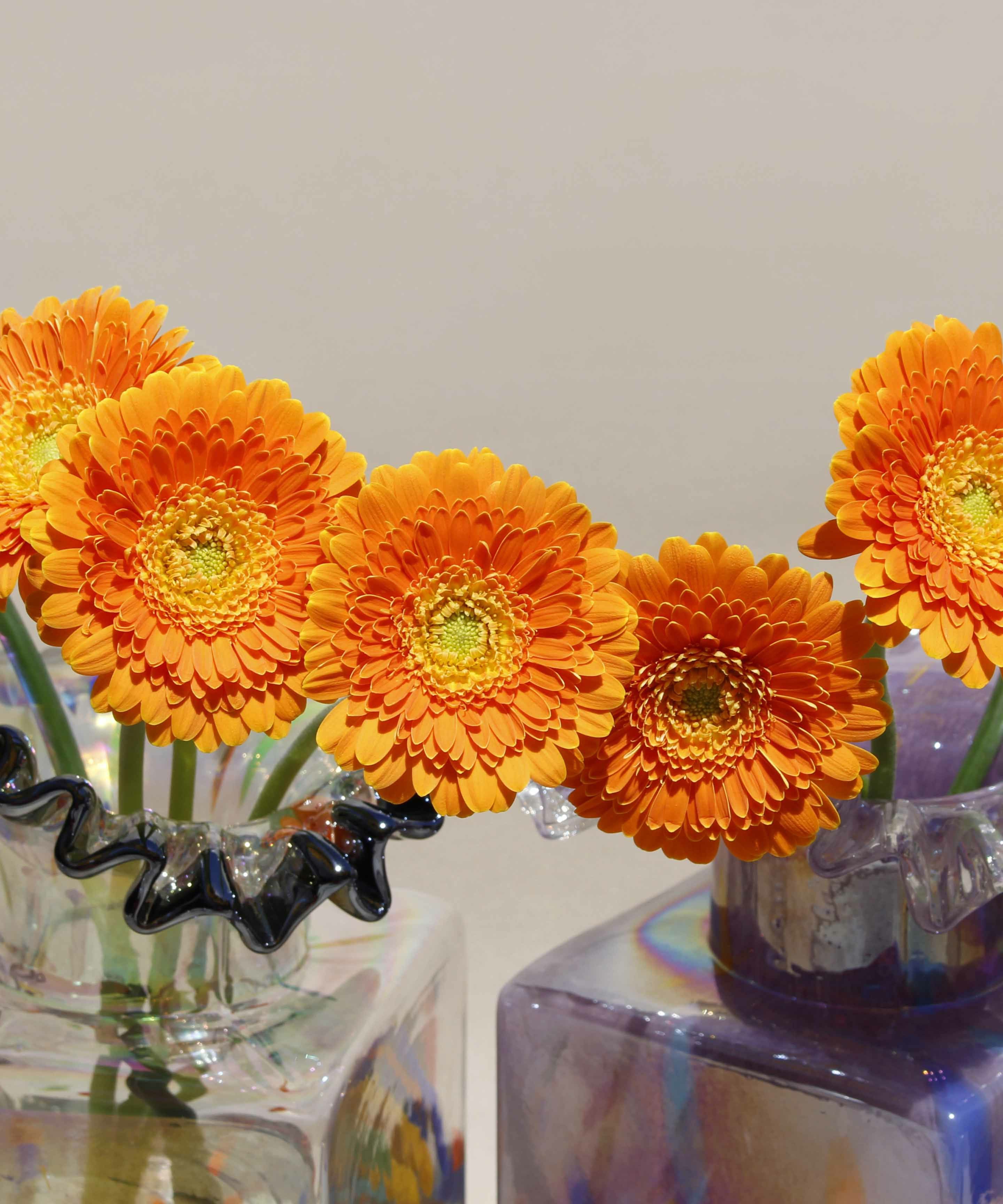 Casselini HOME(キャセリーニ ホーム)ガラスフラワーベースH