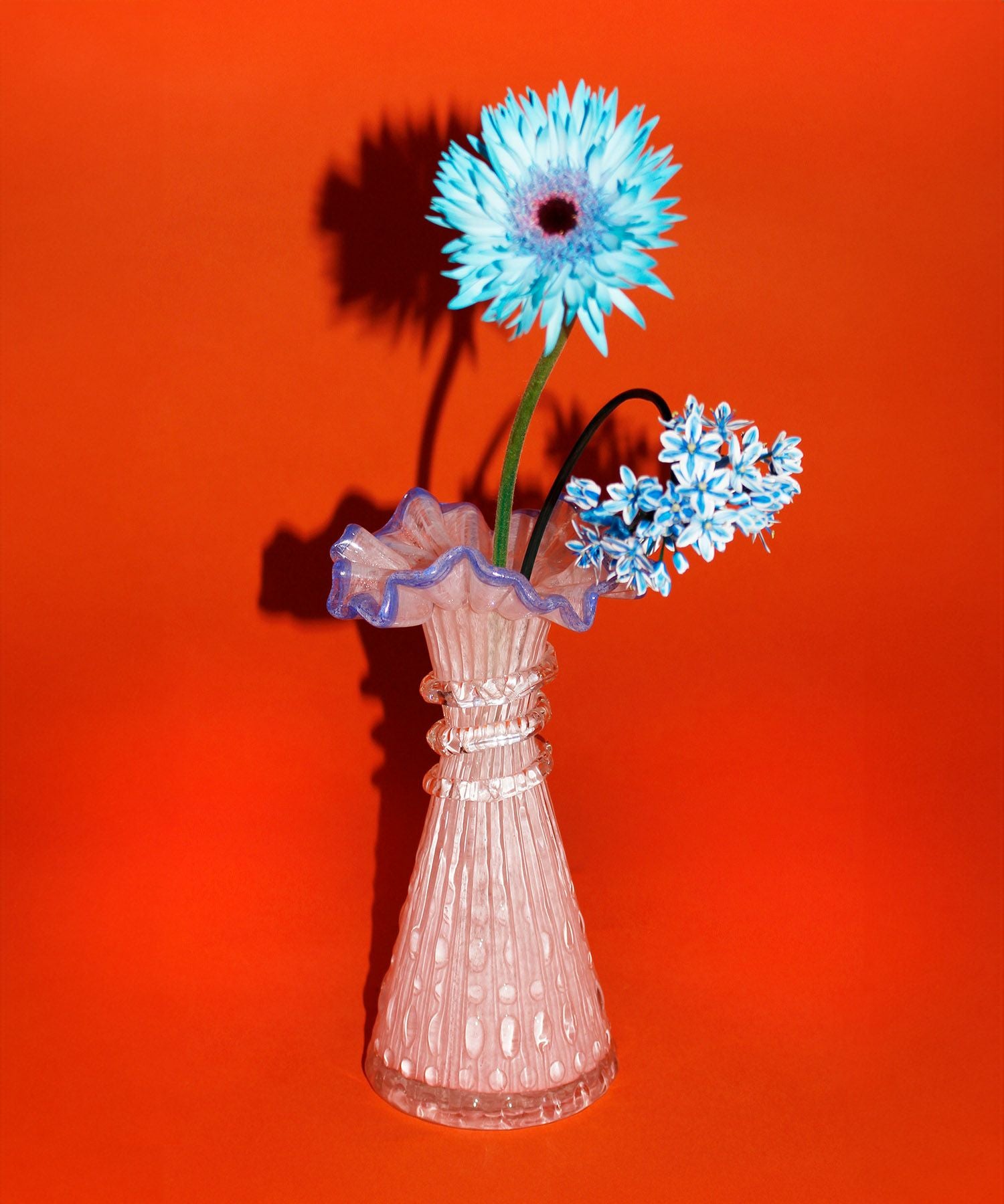 フラワーベース | CASSELINI ONLINE SHOP