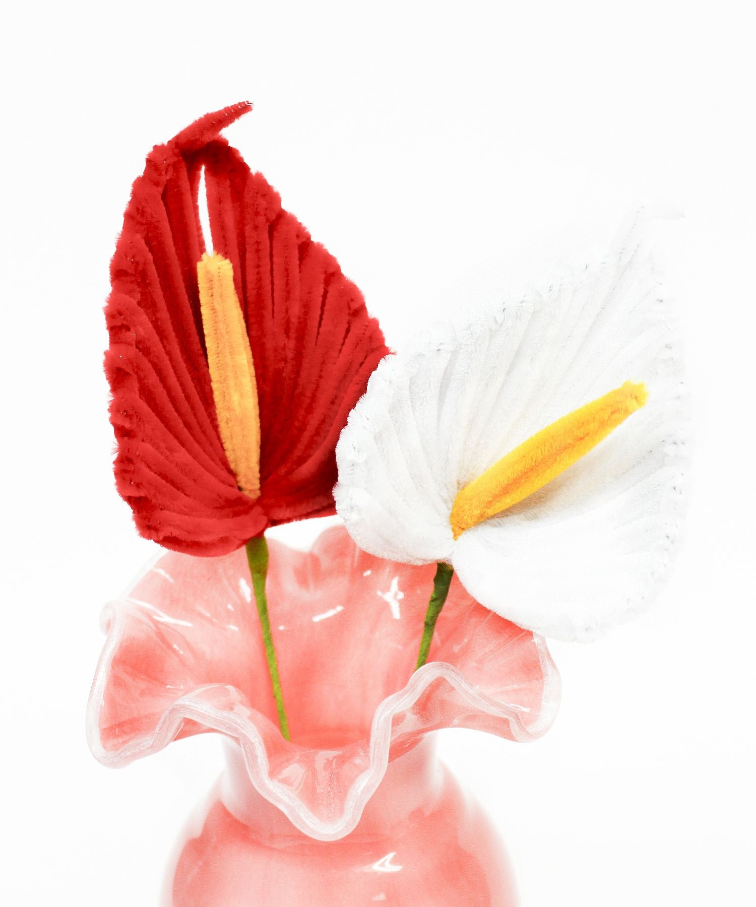 Casselini HOME(キャセリーニ ホーム)モールフラワー アンスリウム