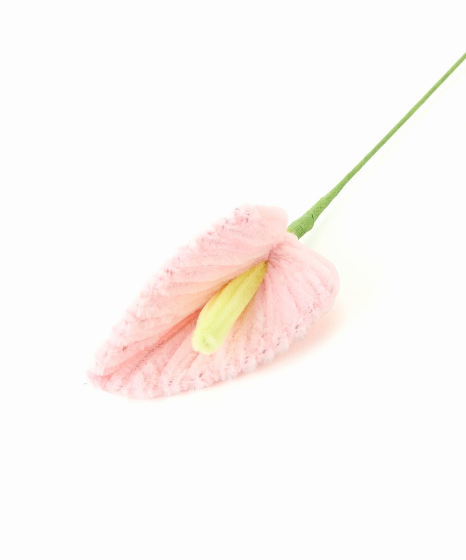 Casselini HOME(キャセリーニ ホーム)モールフラワー アンスリウム