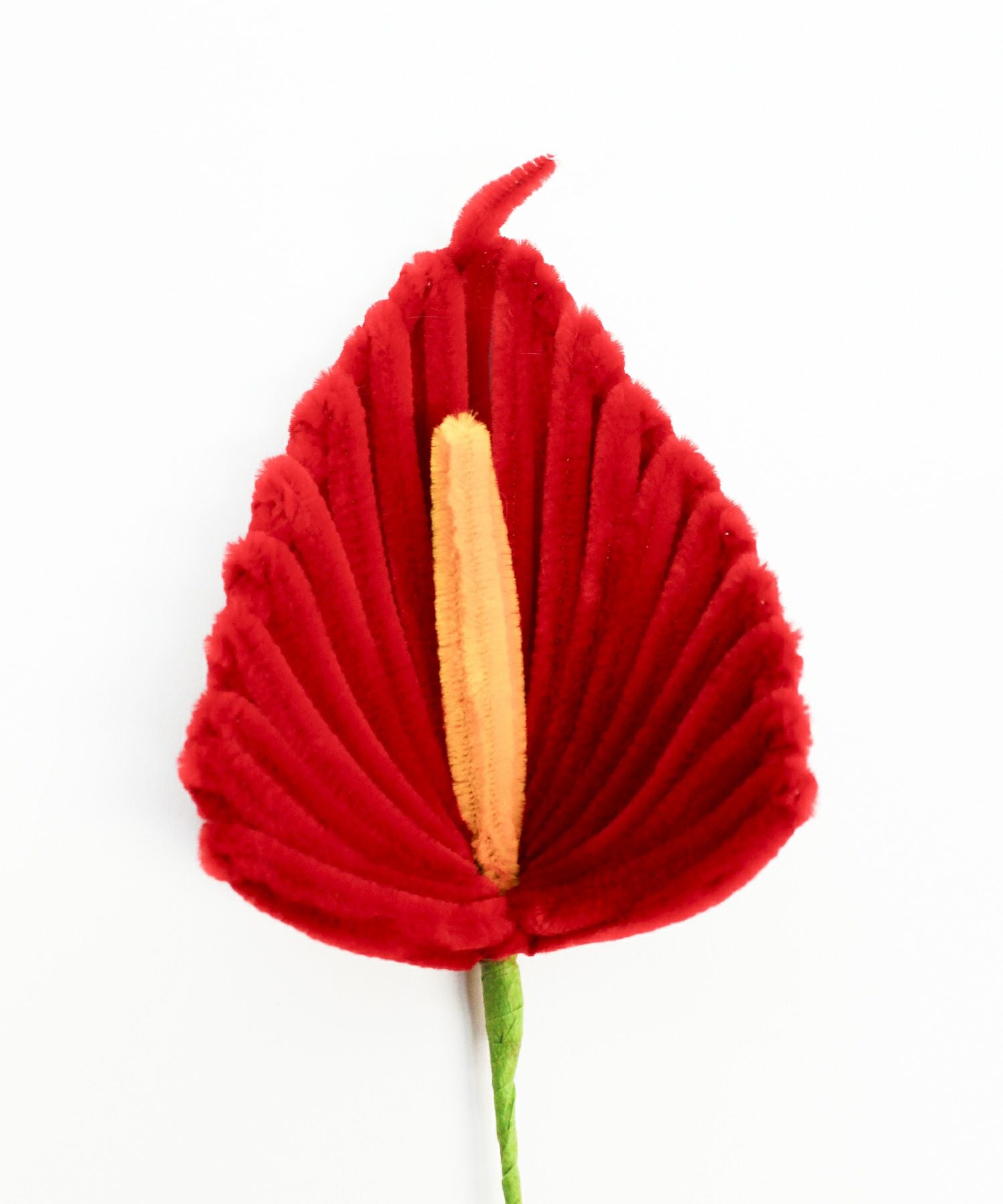 Casselini HOME(キャセリーニ ホーム)モールフラワー アンスリウム