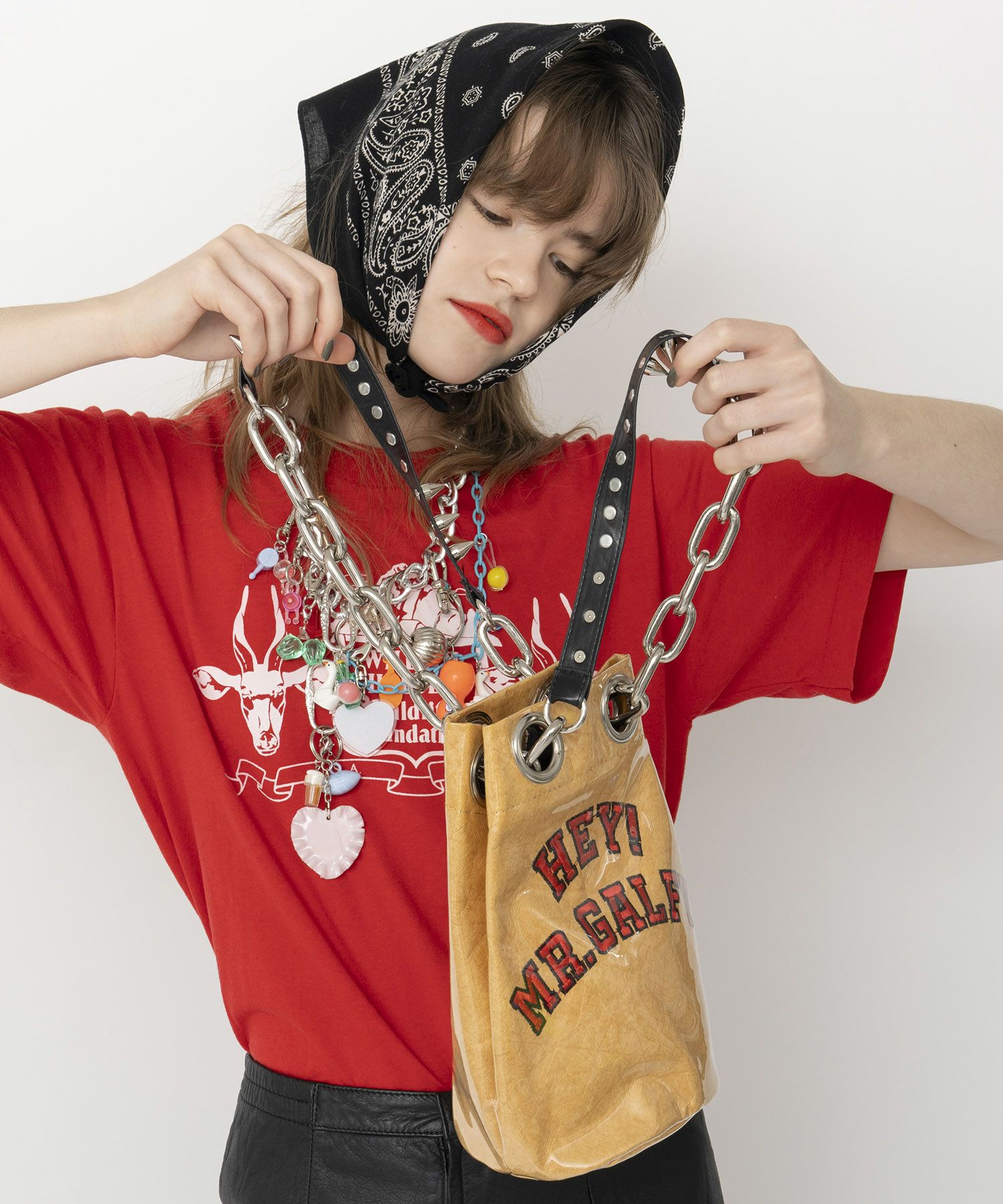 HEY! Mrs ROSE(ヘイ！ミセスローズ)HEY!Mr.GALFY シールド巾着