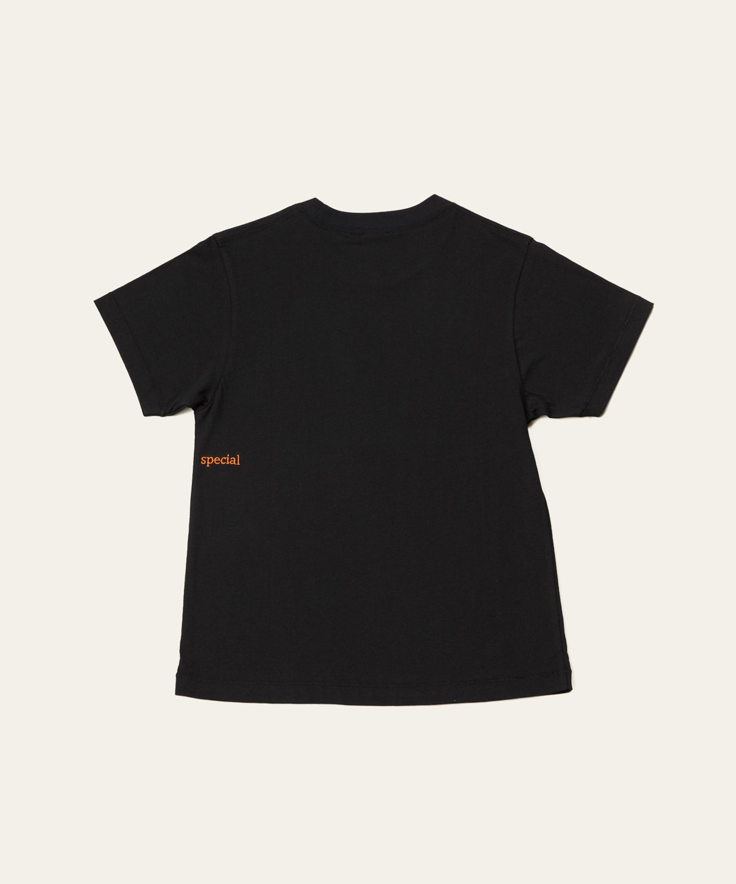 LAPUIS] 【FRUIT OF THE LOOM × LAPUIS】Special T-shirt | CASSELINI
