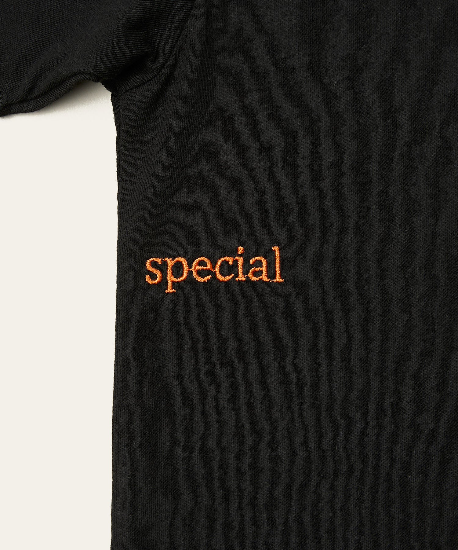LAPUIS] 【FRUIT OF THE LOOM × LAPUIS】Special T-shirt | CASSELINI